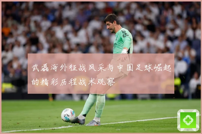 武磊海外征战风采与中国足球崛起的精彩历程战术观察