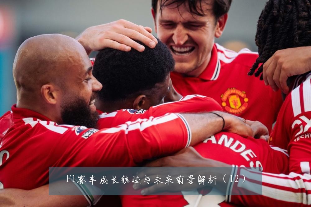 F1赛车成长轨迹与未来前景解析（12）